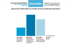 Encuesta: el 46,9% dice que el Mundial lo distrae de sus problemas y el 14,5%, que los olvida