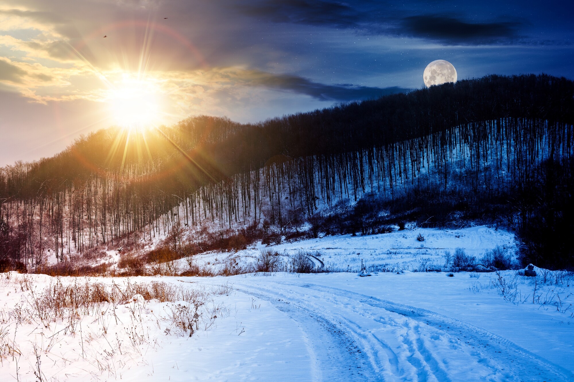 Este 21 de junio comienza la estación más fría del año en el hemisferio sur. Foto: Shutterstock